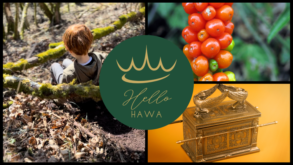 Zwischen Bärlauch und&nbsp;Bundeslade